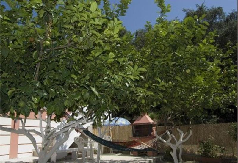Paraskevi Apartments Paleokastritsa Exterior foto